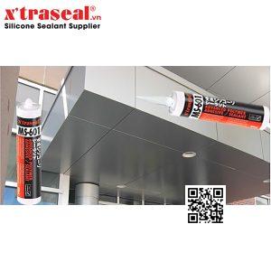 MS 601 xtraseal vietnam 2